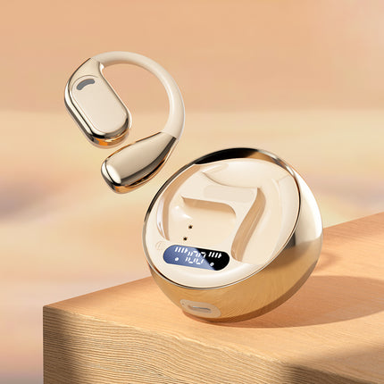 In-Ear Headphones